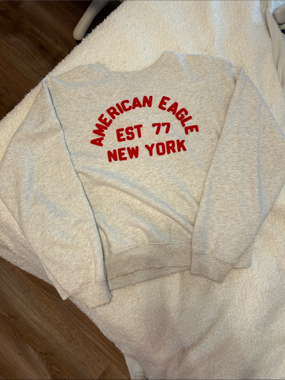 American Eagle Sweatshirt